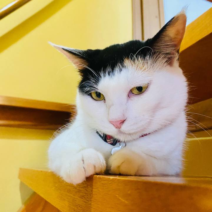 F69e9769 9a26 44b7 bc6f 64af4cae602b 1660122970525