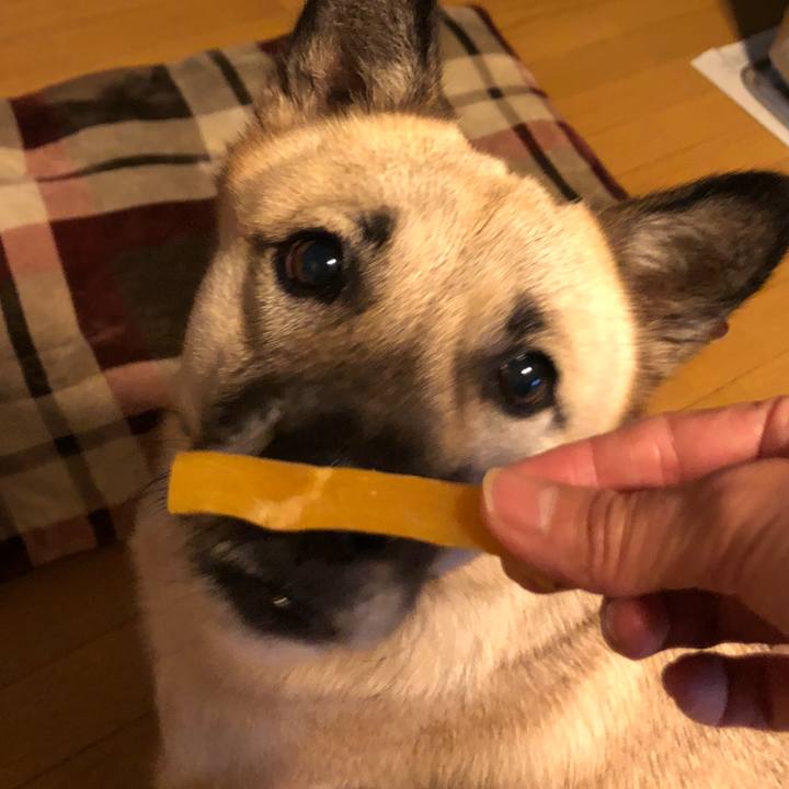 F69eb37e 6e00 410b 9917 833af89a72f2 1573731921460