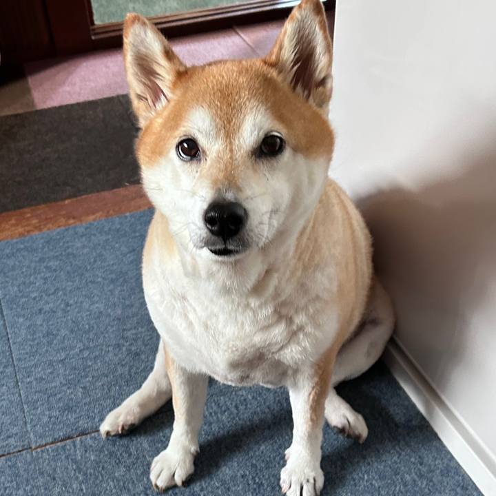 F69ee05b e350 44a4 8bdf 20ed409ab487 1725727442578