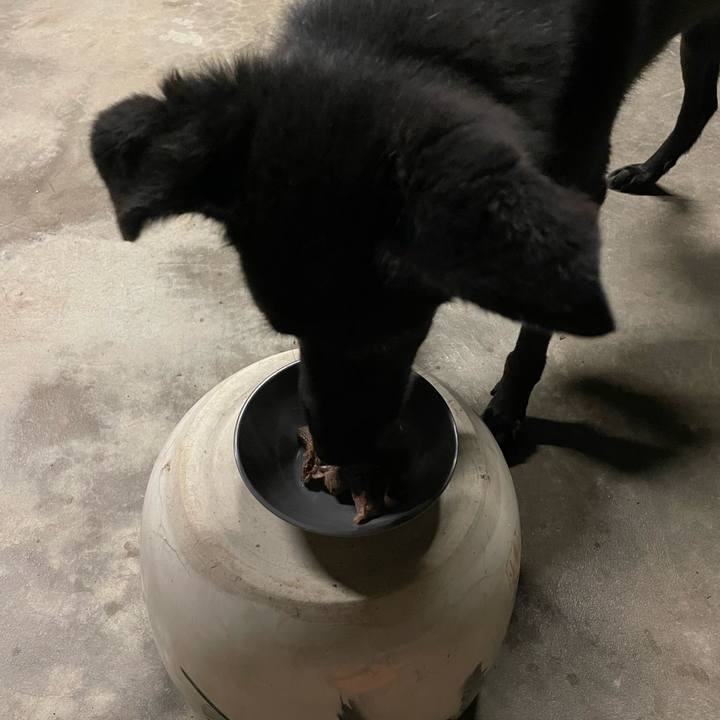 F69ee23a d07c 479b b32d 5550a4ef7244 1657972475808