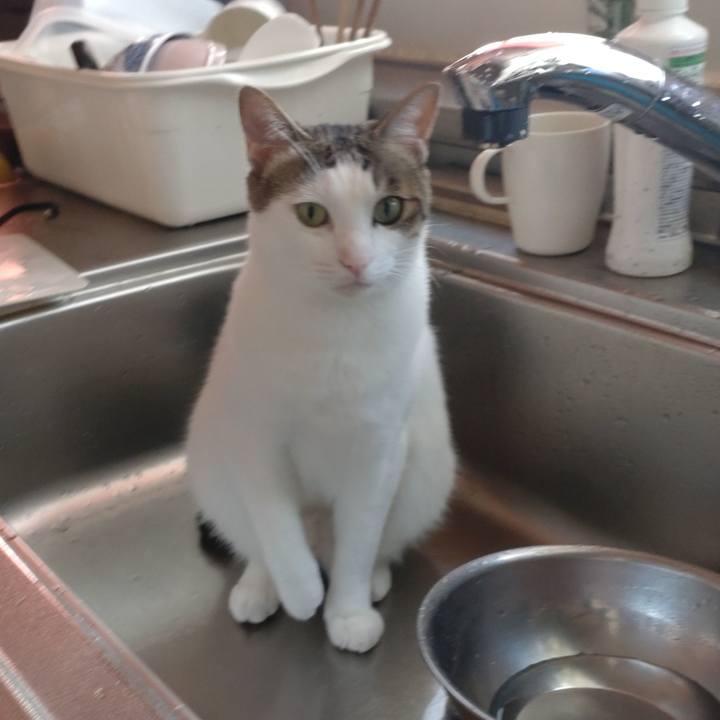 F69ee8a5 f345 4fd0 9750 360c421cfc0c 1690970664591