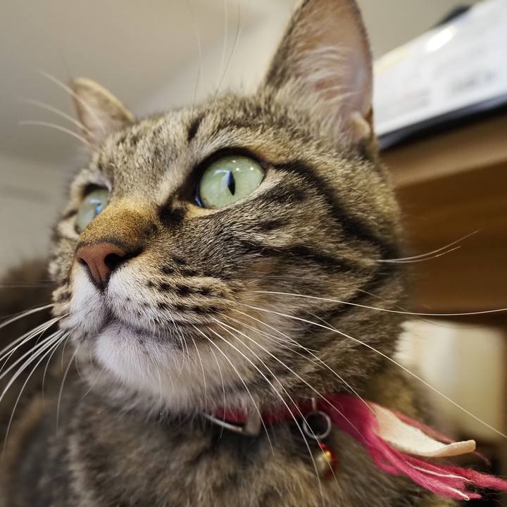 F69eed2b 00fc 4a83 a7b9 6d10b41b29ac 1627007300746