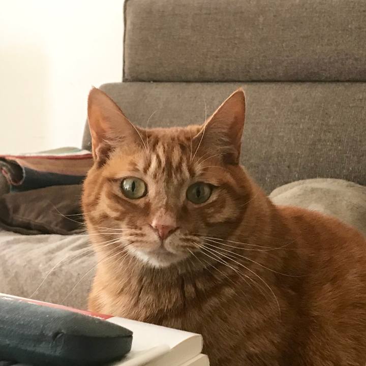 F69f9f4d b94f 4810 850a 69d79603b22e 1517559204070