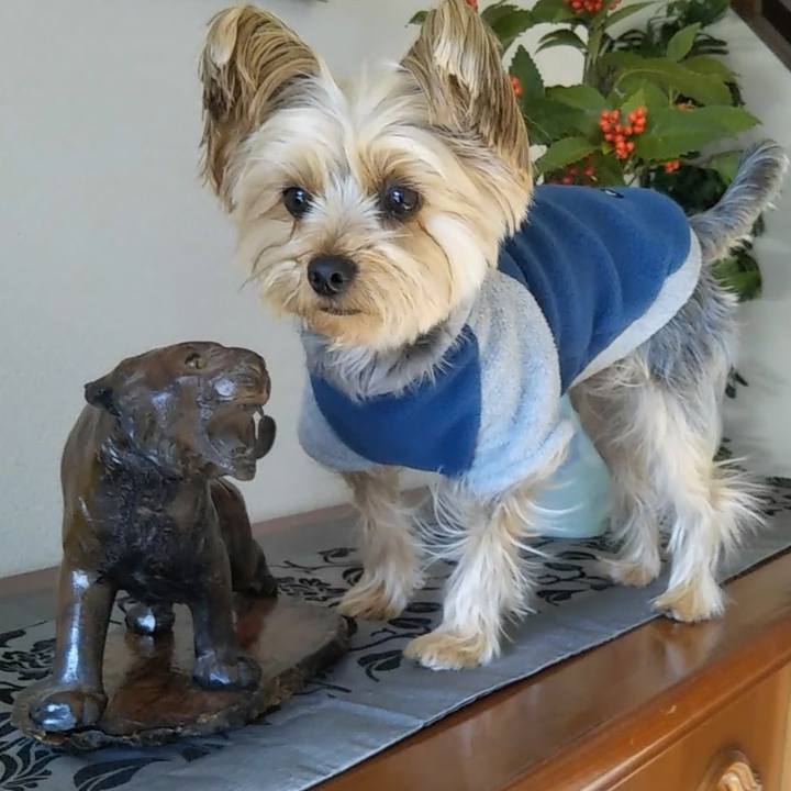 F69fbd10 07ff 4c19 8632 88247339de61 1641633095813