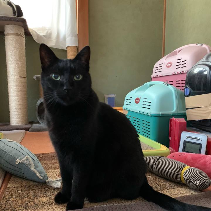 F69fde08 89f4 4ec6 9a1e 3221d0ee3f4f 1578182396783