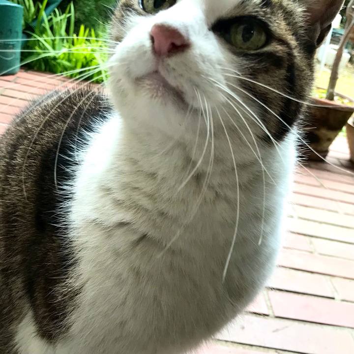 F69fe92a c008 40e0 ba28 7c80908c14b7 1614476983355