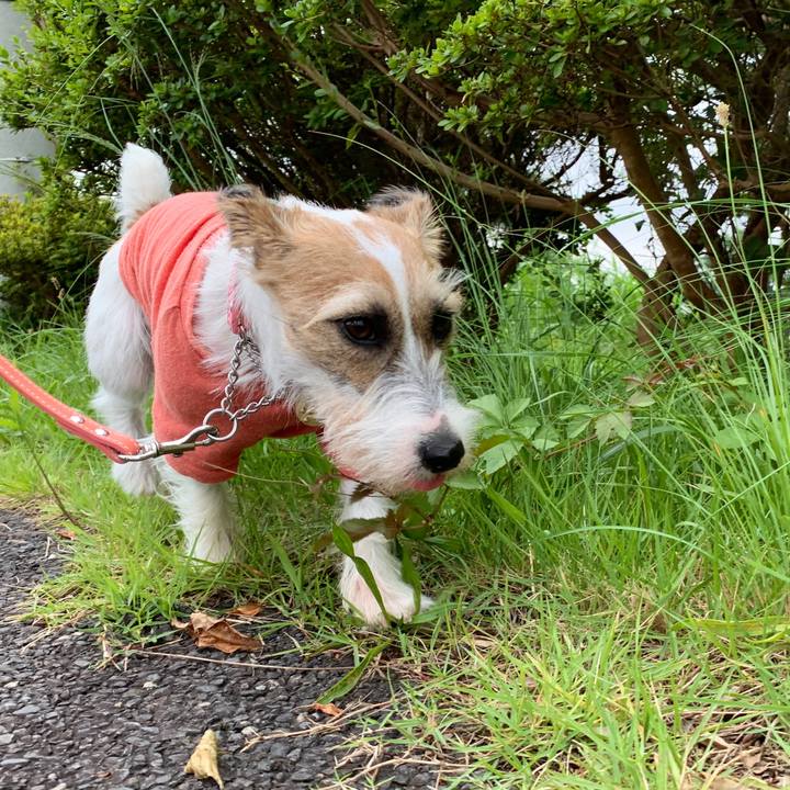 F69fea1b 6262 4c99 84cd 15792b323066 1595326273041