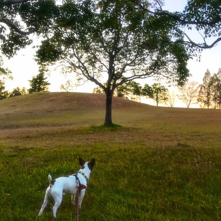 F69ff182 f32a 476a 8bf4 49e535e380af 1511264368243