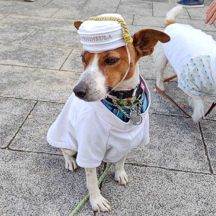 F6a033b2 34d1 4f1d bec1 843a856bf967 1668244012227