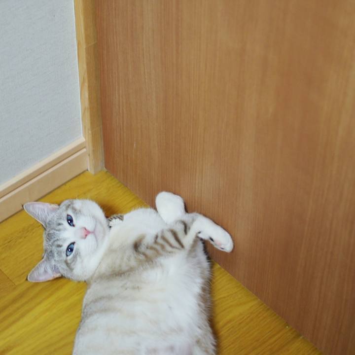 F6a0808b f628 4ce0 9d27 27a953e98164 1521968924821