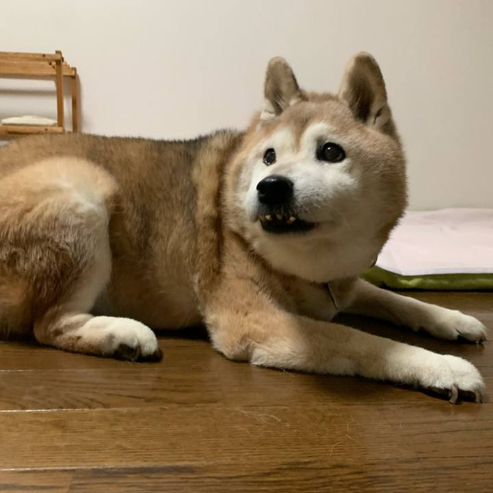 F6a0e755 3819 4fbc b90b da1979e10cae 1662286586943