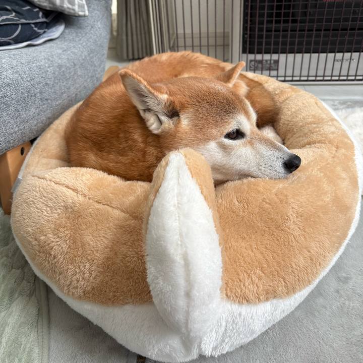 F6a0f092 ec4e 4565 827a 7adb6a76f7d3 1763774167606