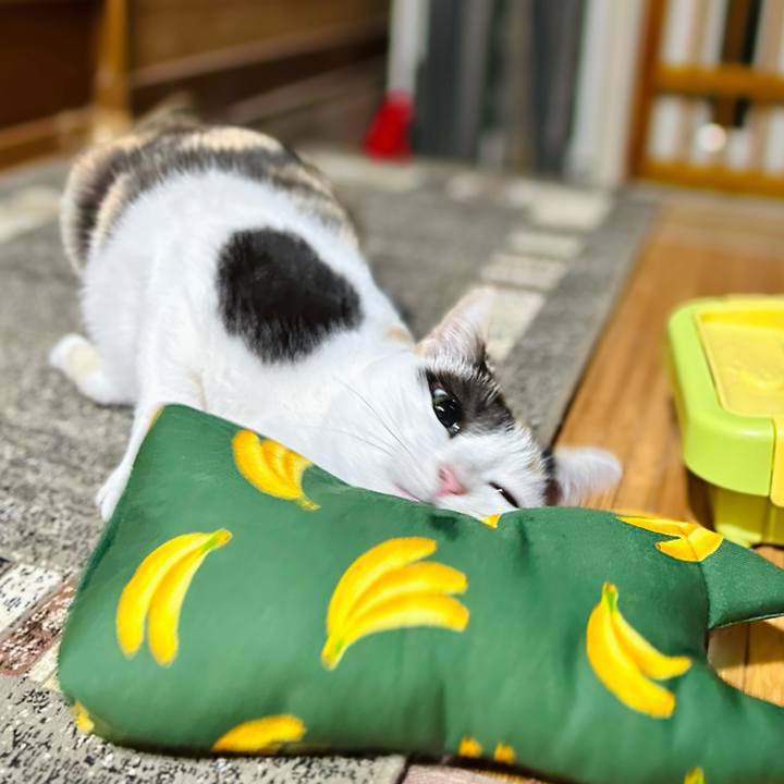 F6a10d18 c6fa 4d28 bd3c 342fc0df0a39 1664674495703