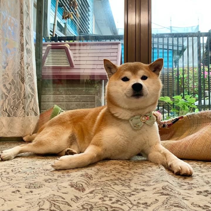 F6a133f7 0363 420e bfa9 3af6b9817b2b 1653650520711