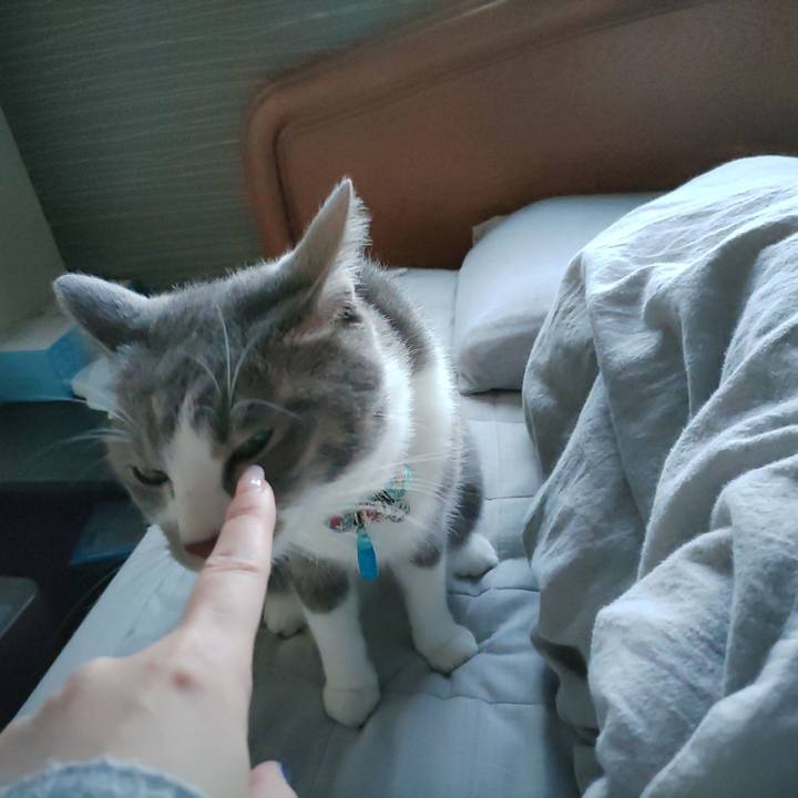 F6a16b35 82ac 4b01 a266 96667024e9a8 1672271334231