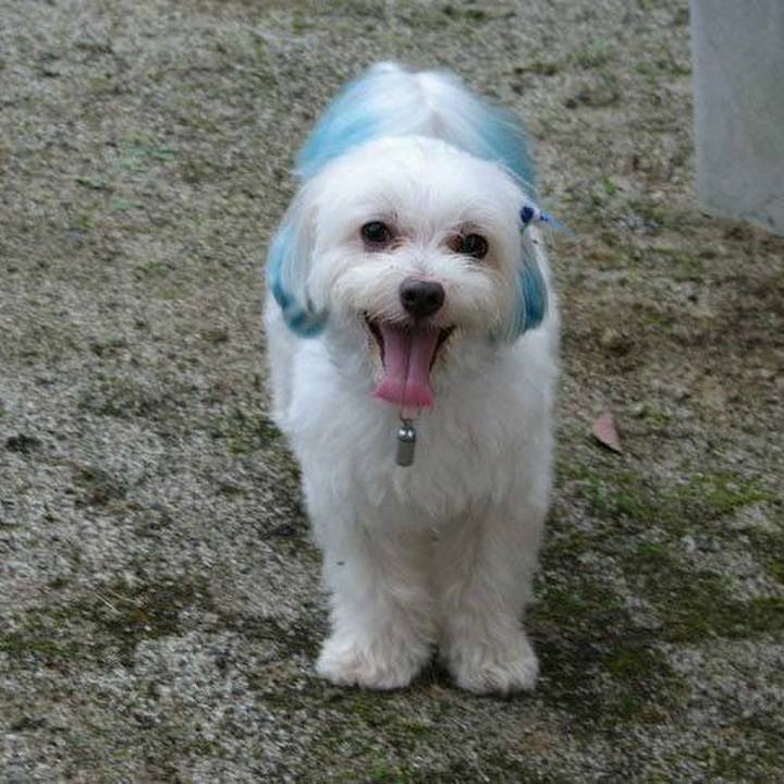 F6a18a6c 9006 47eb a575 66c3322ae037 1520353684985