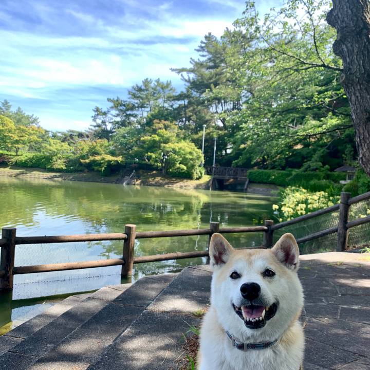 F6a1c55f d55e 42c5 af3a db0927769cd1 1559481042073