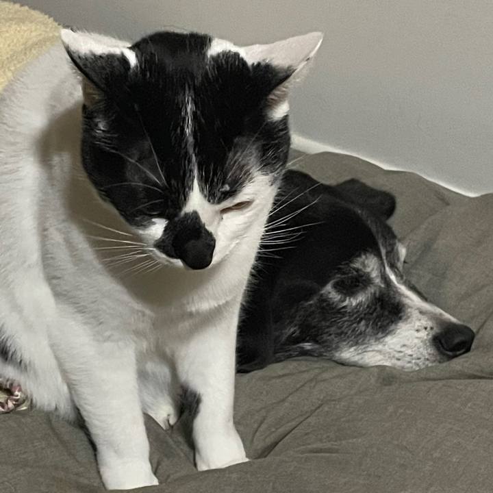 F6a1c882 47e3 4747 a697 28b849d5e186 1763037169885