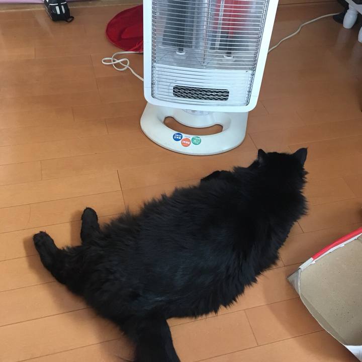 F6a1d99c b90a 469f b21d 179f46509910 1544489803234