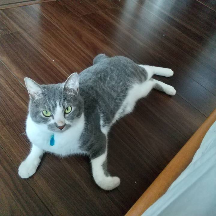 F6a22215 8003 486d a628 1e7452d83501 1628909087346