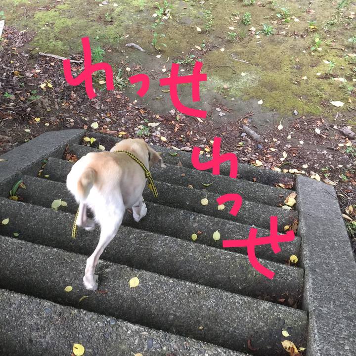 F6a2642e db42 4d4f ad65 e444b4bbc90f 1561442019762