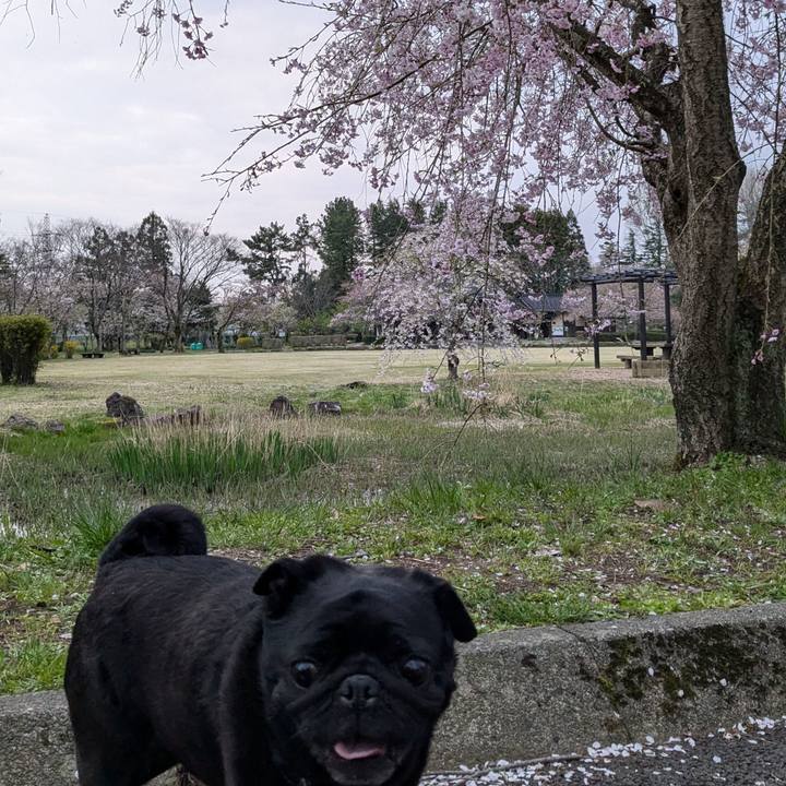 F6a289c9 928e 4c3b 95e0 58a3ad3aa8a4 1744623635090