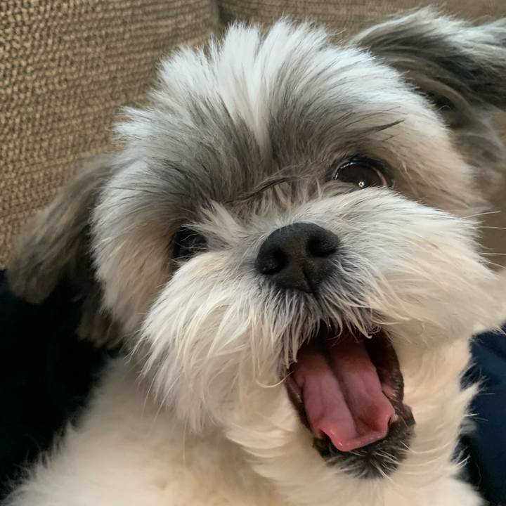 F6a315f0 7820 4173 8b78 ad733069b87a 1636340904741