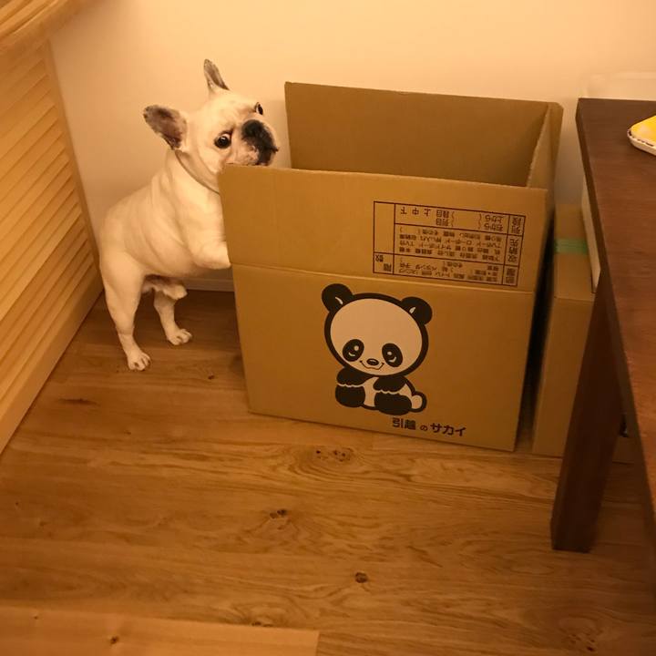 F6a35b6c 0780 471d bb7b 3346b0e3ee75 1564066580207