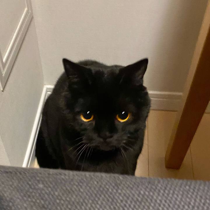 F6a35c74 8eb5 4cce 838a ec244051956a 1645962132569