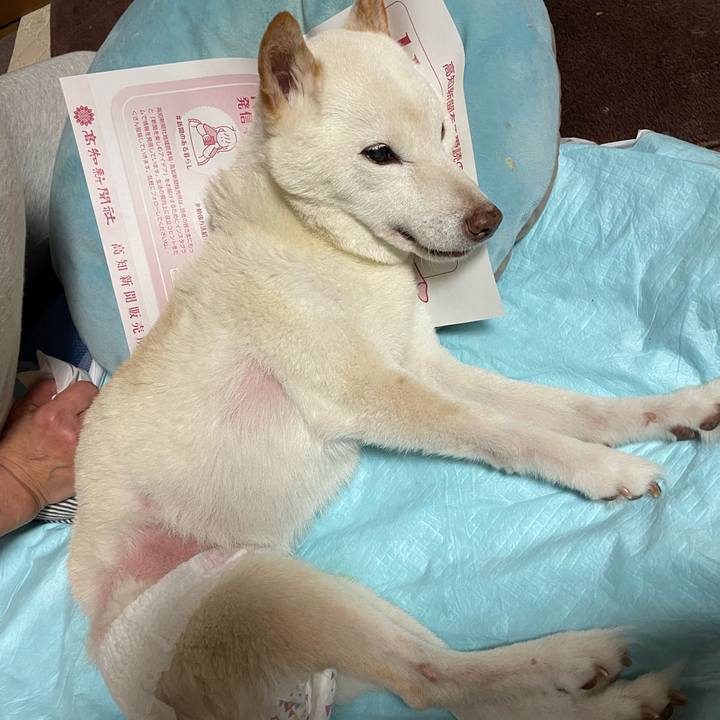 F6a379ad dc62 4b9f 896d 0f573523b1f5 1668377985896