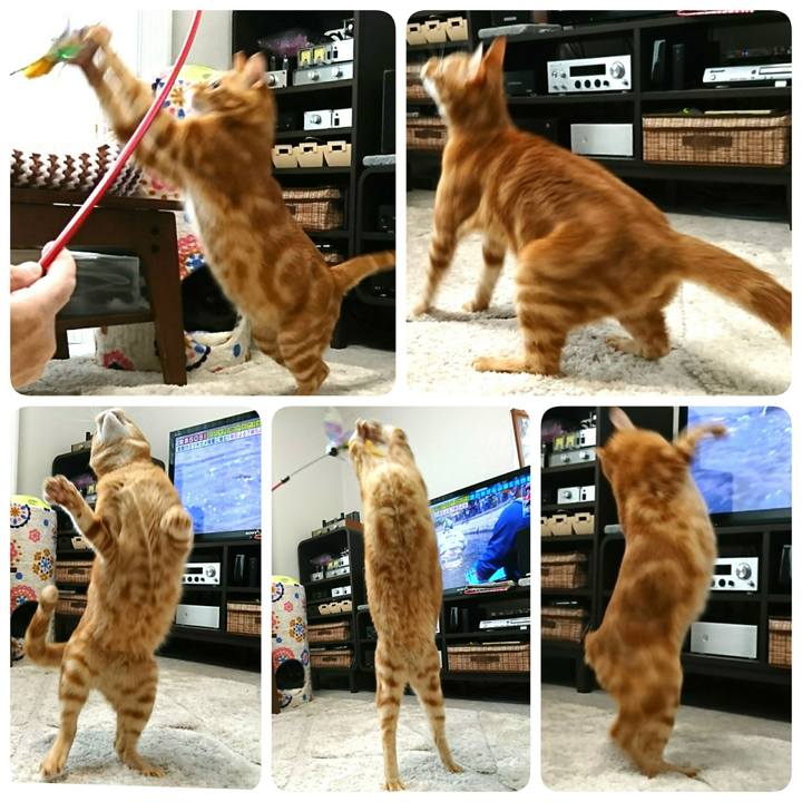 F6a3889b 9044 419d 90f5 b8e419bbacf8 1526705000882