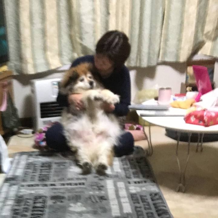 F6a38d36 f5c6 4421 9c04 e49bf1302148 1583428414694