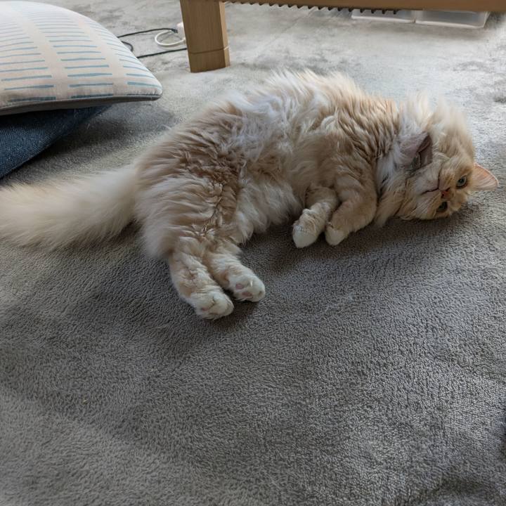 F6a3a60f 1482 4606 a9d2 d41d5194d1b9 1746239592719