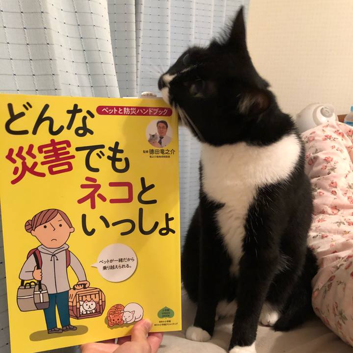 F6a3ef00 3f2a 450f adf9 c26cbbf350c9 1526336324153