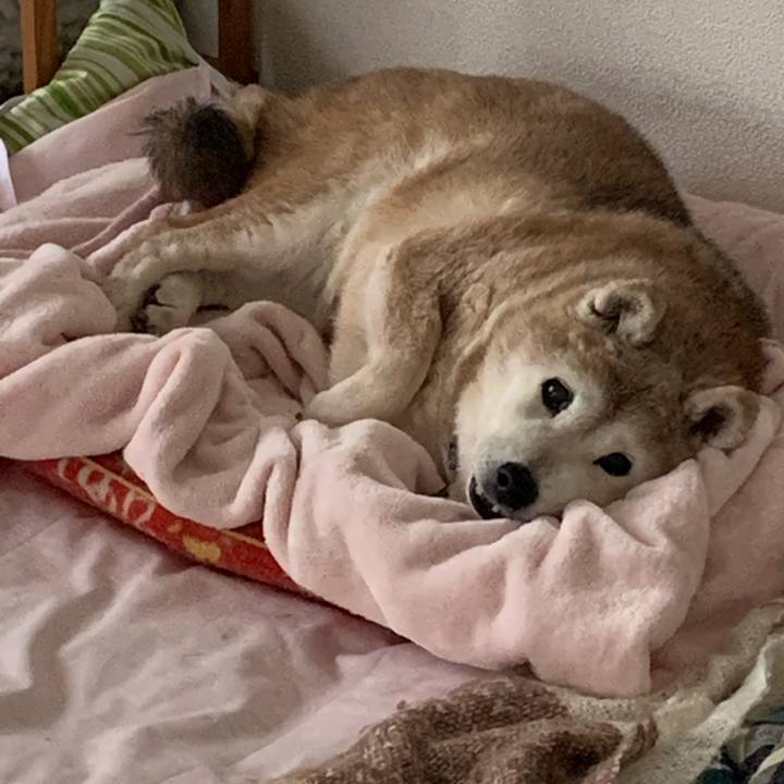 F6a3f1c8 69f9 4335 a16a 163cde69f84e 1675478909937