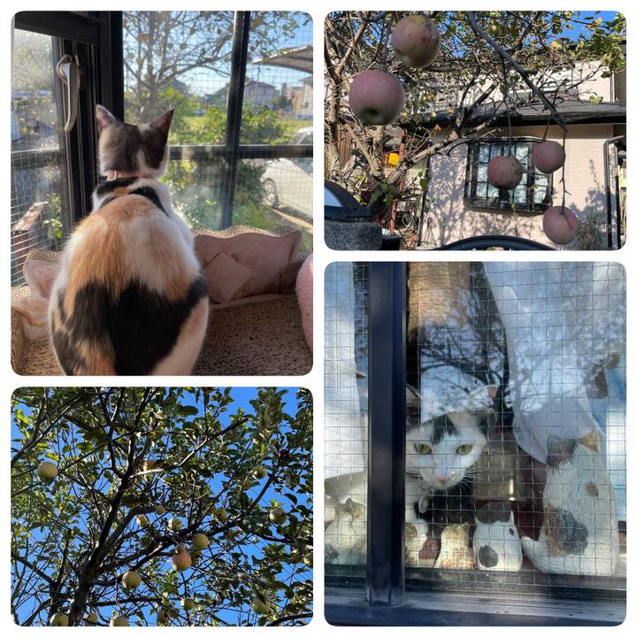 F6a41934 7994 4afc a6bd 2e759b10ed8a 1697409790133