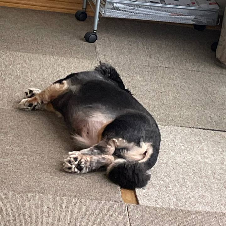 F6a41eeb 7a9d 4767 8ea4 028a2fa15cd3 1627011402620