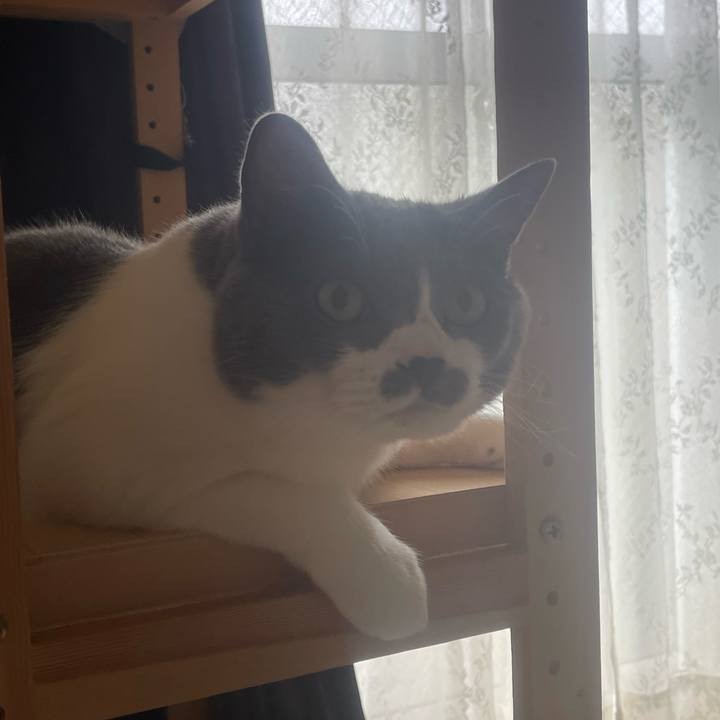 F6a4265b e22d 473f b067 6caa92b7a2b0 1752620488952