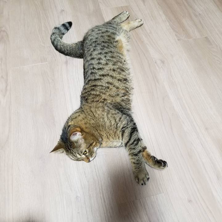 F6a4367f a460 4543 af38 0d2d9c8089c3 1607463574676