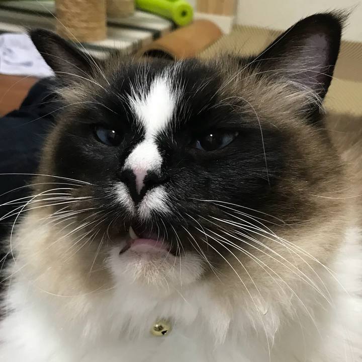 F6a43745 c73b 43ec a74b 1be87217e178 1524564536341