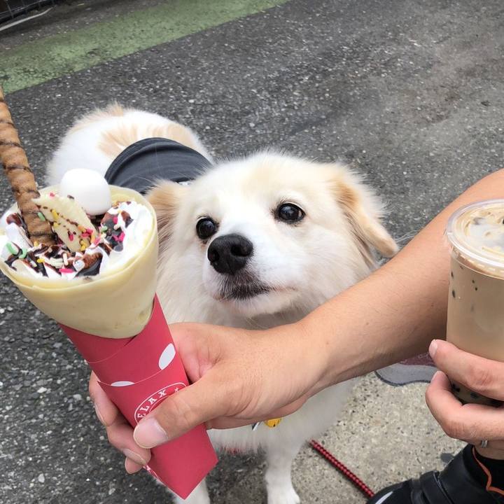 F6a48291 6628 4d8a 89f0 83a31da57a58 1539035706135