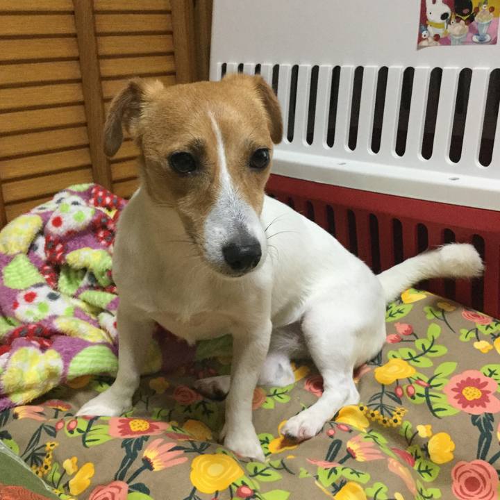 F6a496c9 3b77 461d a077 4a4ff31c921a 1532504736883