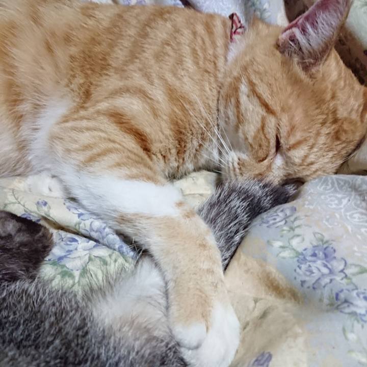 F6a4985b a06c 4593 9822 b19f0a5ca236 1563718802205