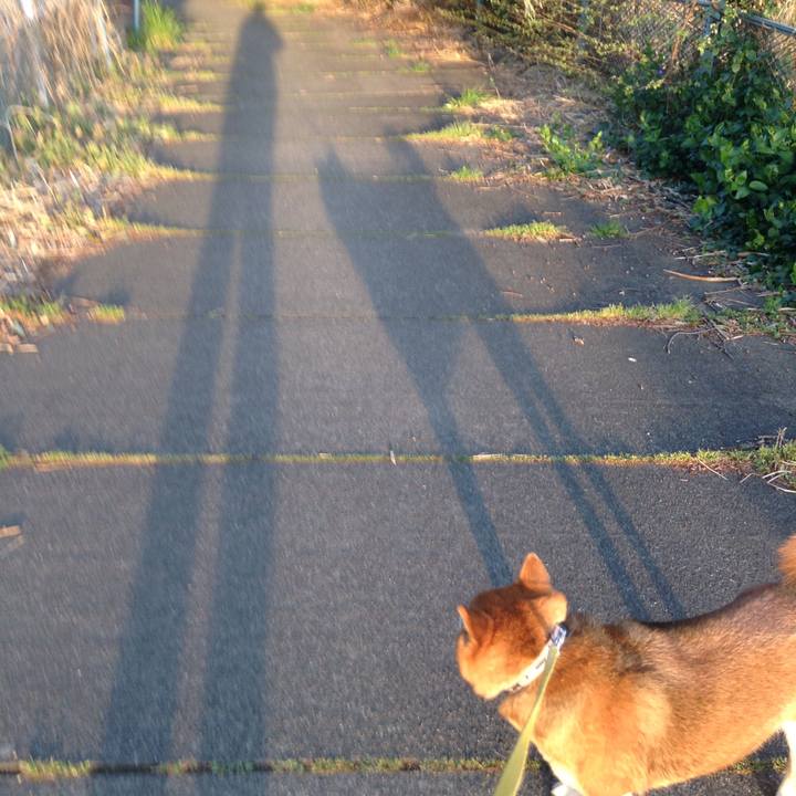 F6a49b4b 62d4 4747 997f b88b583ec009 1554801037630