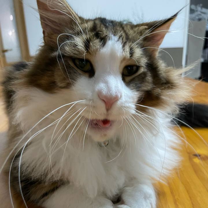 F6a4c0d3 6323 4af8 bd16 98db6d3e801d 1641103880969