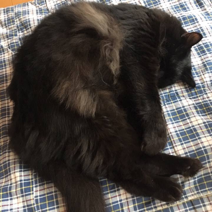 F6a53cb4 b257 4f82 b625 98ae4206c039 1509520830866