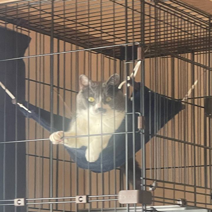 F6a54d1e e372 4896 b84a 4f8058587e41 1703060923681