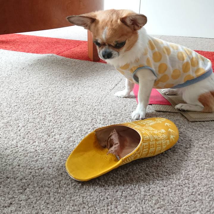 F6a57c7b d654 4ee9 b980 eceeb40430ce 1620989928746