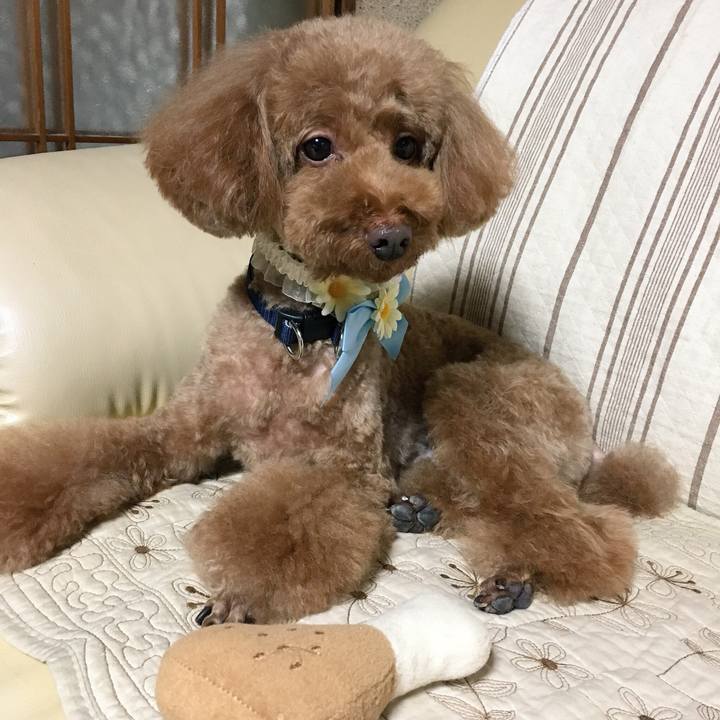 F6a5a1d8 e9ff 4a2f a350 e86372859213 1539144066919