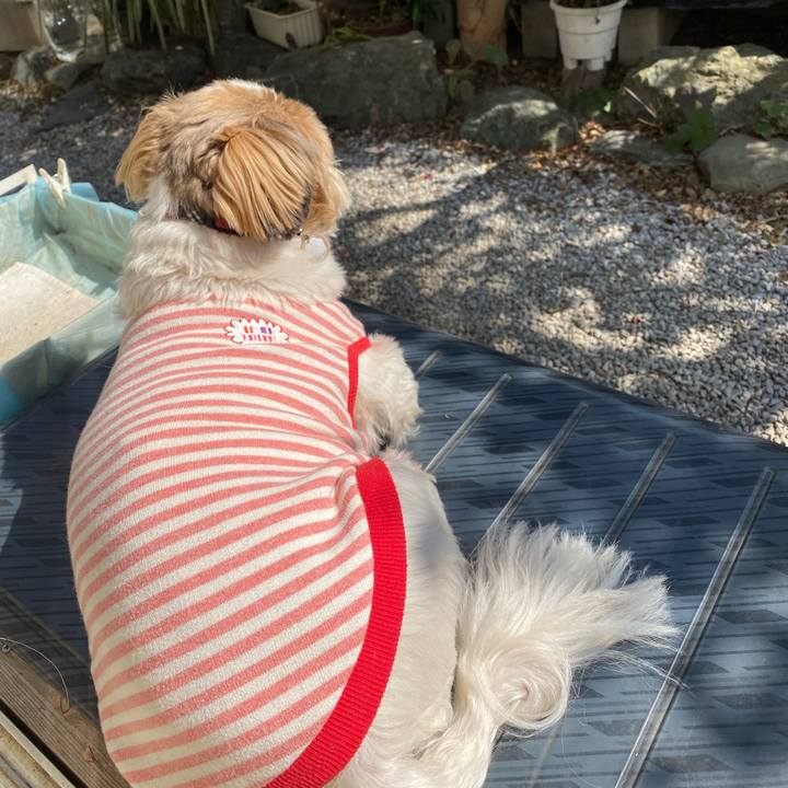 F6a5fb13 99e9 40bf 9857 c098dd49c178 1646126944733